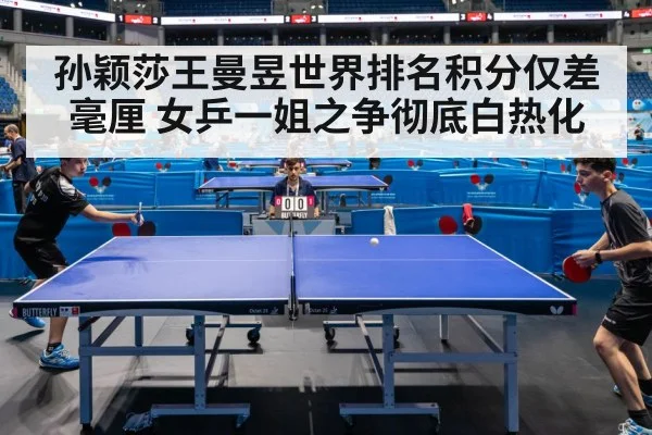 ping pong match